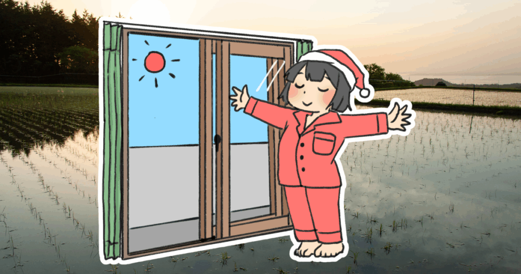 朝の日光+姿勢リセットでホルモンを味方に